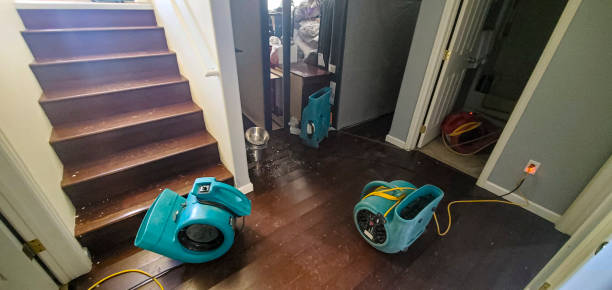 Best Water damage restoration near me  in Newville, PA