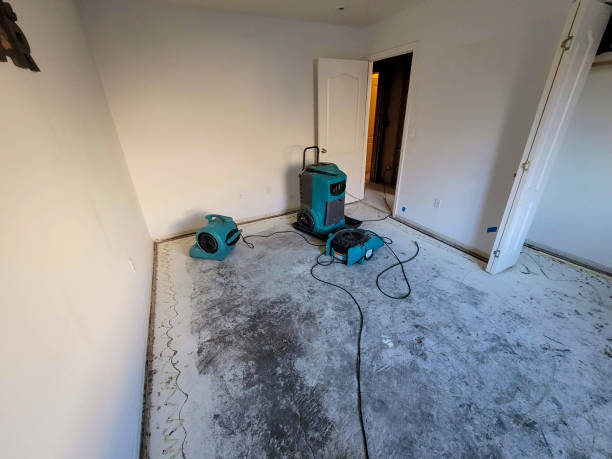 Best Flooded house restoration  in Newville, PA