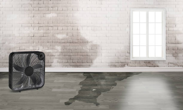 Best Water damage mitigation services  in Newville, PA
