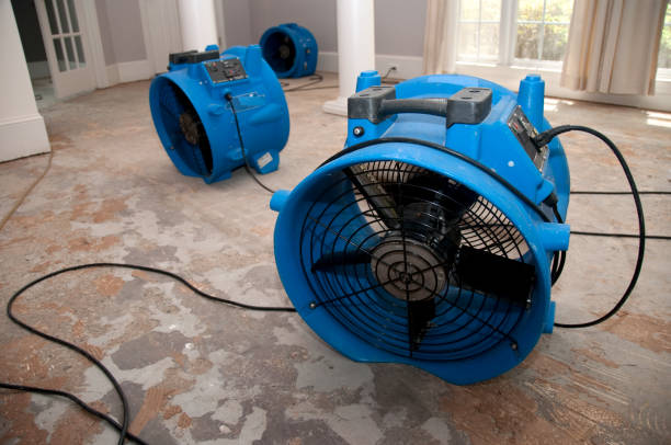 Best Water damage cleanup near me  in Newville, PA