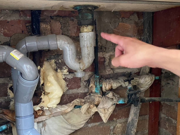 Best Water damage restoration insurance claims  in Newville, PA